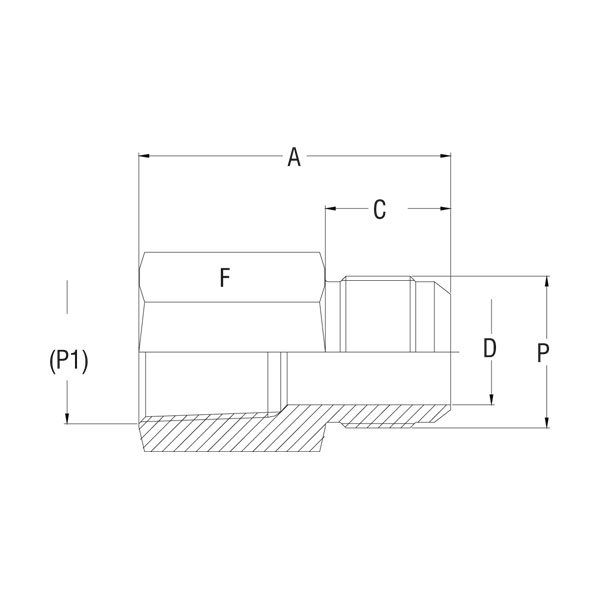 Female Connector - GV-302F-BU - 37° Flare Tube Fittings