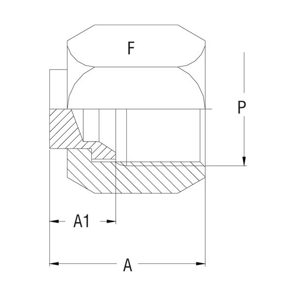 Fitting End Closure - GV-302F-BU - 37° Flare Tube Fittings