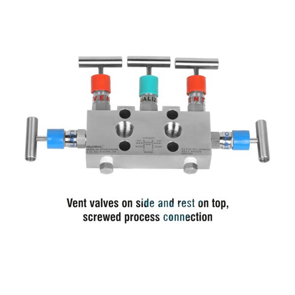 Five Valve Manifold Remote Mount (Pipe x Pipe)