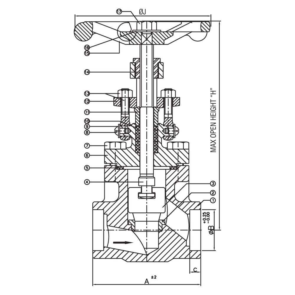 Globe Valve (OS & Y Type)