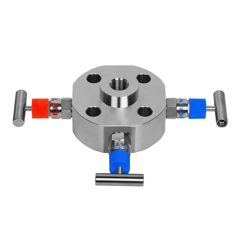 Monoflange Valves Manufacturers in Arunachal Pradesh